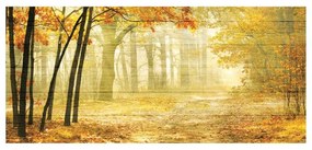 Stampa su legno Deep autumn, multicolore 50 x 110 cm