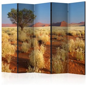 Paravento Desert landscape, Namibia II [Room Dividers]