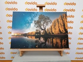 Quadro su tela – Albero sotto il cielo stellato