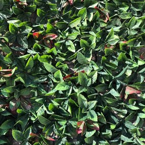 Siepe artificiale Photinia Divy 3D in polietilene, verde H 1 m x L 3 m