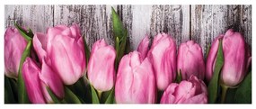 Stampa su tela Pink tulips, multicolore 70 x 180 cm