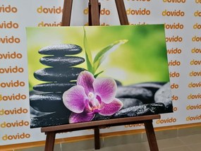 Stampa su tela – Composizione Zen meditativa