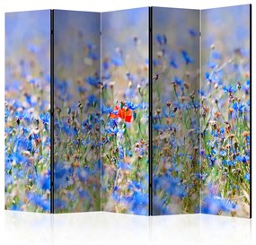 Paravento design Prato Azzurro - Camomilla II - Paesaggio estivo di fiori blu