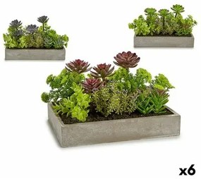Pianta Decorativa Succulenta Plastica Cemento 16,5 x 20 x 28,5 cm (6 Unità)