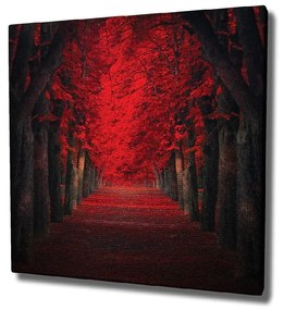Pittura murale su tela Alberi rossi, 45 x 45 cm - Wallity