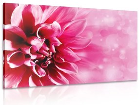 Stampa su tela – Fiore rosa