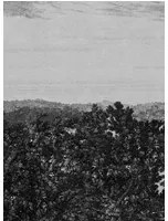 Sandberg Carta da parati panoramica Oak View - Graphite