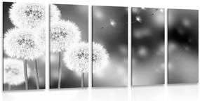 Quadri 5 pezzi – Dente di leone soffice in bianco e nero