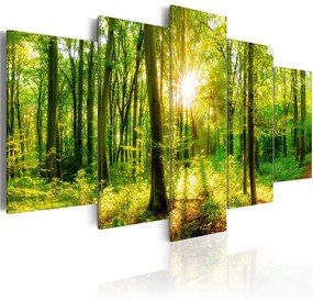 Quadro Forest Tale  Colore Marrone, Dimensioni e Misure 200x100