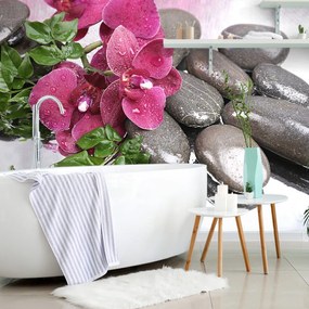 Carta da parati – Orchidea fiorita e pietre benessere