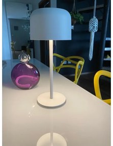 Immax 08497L - Lampada solare da esterno dimmergibile LED/4W/5V 3600mAh IP44