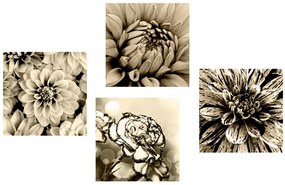 Set di quadri – Fiori in seppia