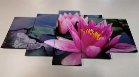 Quadri 5 pezzi – Fiore di loto rosa