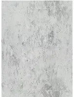 Designers Guild Carta da parati Michaux - Zinc