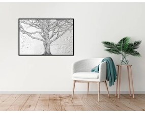 Poster  Tangled Branches  Cornice Quadri Cornice nera, Larghezza x Altezza Home decor 30x20