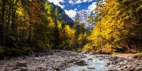 Quadro su tela – Paesaggio montano pittoresco