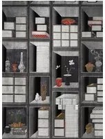 Mindthegap Carta da parati Korean Library - WP20421