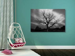 Quadro su tela – Albero sul prato in bianco e nero