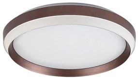Rabalux 71159 - Plafoniera LED FONTANA LED/24W/230V 3000K