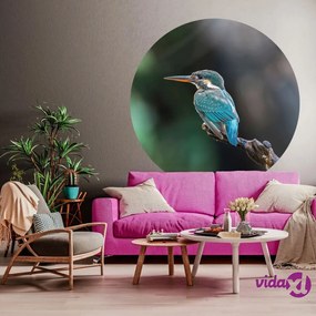 WallArt Cerchio Carta da Parati The Kingfisher 142,5 cm