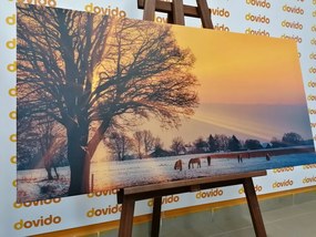 Quadro su tela – Cavalli nel paesaggio innevato