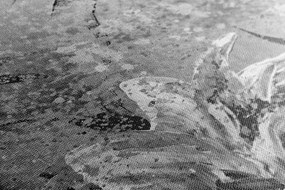 Stampa su tela – Peonie dipinte moderne in bianco e nero