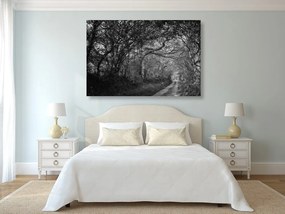 Stampa su tela – Foresta in bianco e nero