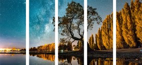 Quadri 5 pezzi – Albero sotto il cielo stellato