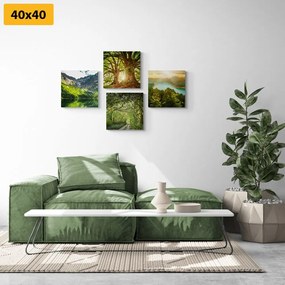 Set di quadri – Splendida natura verde