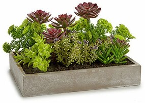 Pianta Decorativa Succulenta Plastica Cemento 16,5 x 20 x 28,5 cm (6 Unità)