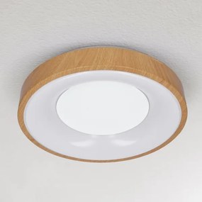 Brilagi - Lampada LED da soffitto dimmerabile DORIA LED/48W/230V 3000-6500K + DO