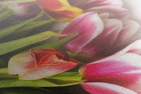 Quadro su tela – Bouquet di tulipani colorati