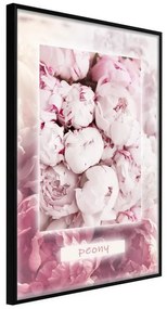 Poster  Scent of Peonies  Cornice Quadri Cornice nera, Larghezza x Altezza Home decor 20x30