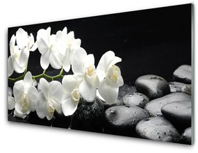 Quadro in vetro Pietre da fiore Pianta 100x50 cm