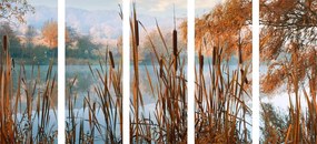 Quadri 5 pezzi – Fiume nella natura autunnale