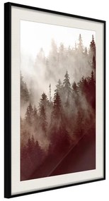 Poster  Forest Fog  Cornice Quadri Cornice nera con pass-partout, Larghezza x Altezza Home decor 30x45