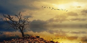 Quadro su tela – Albero secco