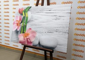 Quadro su tela – Composizione zen delicata