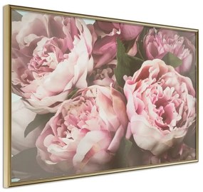 Poster  Pastel Peonies  Cornice Quadri Cornice d'oro, Larghezza x Altezza Home decor 90x60