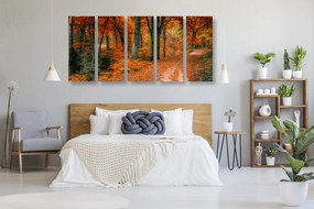 Quadri 5 pezzi – Foresta in autunno
