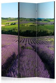 Paravento  Lavender fields [Room Dividers]  Colore Viola, Dimensioni e Misure 135x172