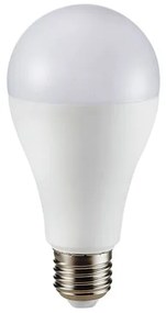 LAMPADINA A LED 17W E27 A65 6400K (164)