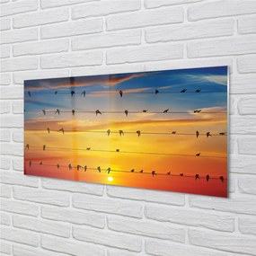 Quadro acrilico Uccelli sul tramonto delle corde 100x50 cm