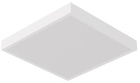 Plafoniera LED 60x60 45W Rosa per Banco Carni, con driver Philips Colore Rosa Alimentare