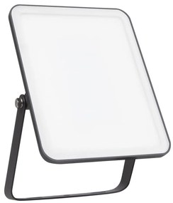 Ledvance - Riflettore LED da esterno FLOODLIGHT ESSENTIAL LED/30W/230V IP65