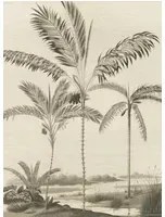 Eijffinger Wandbild Palm Portrait - Black & White