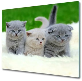 Tagliere in vetro Tre gatti sulla coperta 60x52 cm