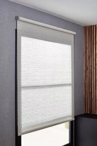 Tenda a rullo filtrante INSPIRE Darwin beige 90x250 cm