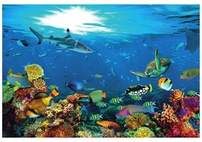 Carta da parati – Mondo Sottomarino