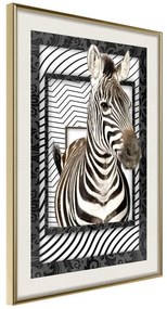 Poster  Zebra in the Frame  Cornice Quadri Cornice d'oro con passe-partout, Larghezza x Altezza Home decor 40x60